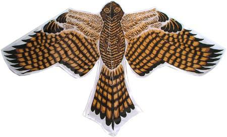 Kite Eagle Single Line