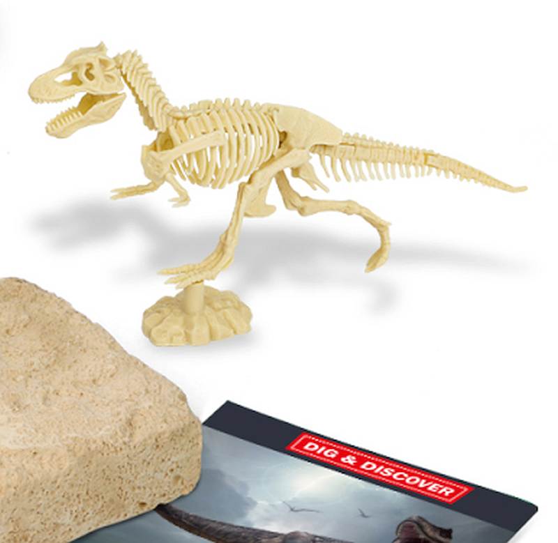 Dig Discover Tyrannosaurus Dig Kits - My Wooden Toys