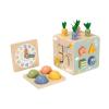 Activity Cube Multi Function Playset Detail