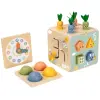 Activity Cube Multi Function Playset