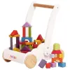 Rainbow Baby Walker with 45 Blocks