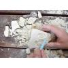 Ancient Shark Fossil Excavation Kit Detail-2