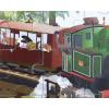 Australian Animals Train 24 Piece Jigsaw Puzzle Detail