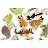 Fridge Magnets Australian Animals Set 25 Piece Detail-5
