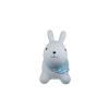 Bouncy Ride On Rabbit Detail