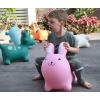 Bouncy Ride On Rabbit Detail-Two