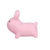Bouncy Ride On Rabbit Detail-Three
