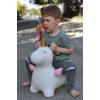 Bouncy Ride On Unicorn Detail