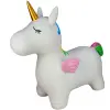 Bouncy Ride On Unicorn