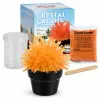 Crystal Cactus Mini Kit