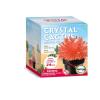 Crystal Cactus Mini Kit Set of Six Detail-5