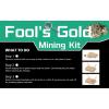Dig Discover Fools Gold Detail