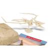 Dig Discover Pterosaur Detail-Three