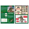 Dig Discover Stegosaurus Detail-Three