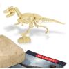 Dig Discover Tyrannosaurus Detail
