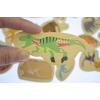 Fridge Magnets Dinosaurs Set 25 Piece Detail-2