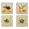 Emu Life Cycle Layer Puzzle