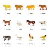 Farm Animals Dig Kit Pack of Four Detail-2