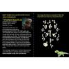 Glowing Tyrannosaurus Dig Kit Detail