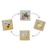 Green Sea Turtle Life Cycle Layer Puzzle Detail