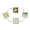 Green Tree Frog Life Cycle Layer Puzzle Detail