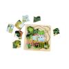 Green Tree Frog Life Cycle Layer Puzzle Detail-4