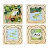 Green Tree Frog Life Cycle Layer Puzzle