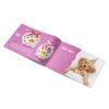Pet Paw Print Craft Kit Detail-3