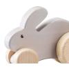 Rabbit Animal Push Car Detail