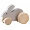 Rabbit Animal Push Car