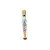 Rainbow Recorder Detail