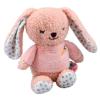 Snuggle Berry Bunny Baby Gift Set Detail-5