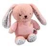 Snuggle Berry Bunny Jiggler