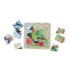 Ulysses Butterfly Life Cycle Layer Puzzle Detail