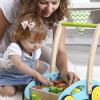 Wooden Baby Walker With Forest Blocks Detail-Two