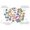 Magnetic Uppercase Alphabet Letters 50 Piece Detail