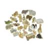 Fridge Magnets Zoo Animals Set 25 Piece Detail-4
