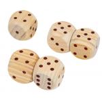 Outdoor Dice Game