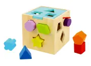 Block Shape Sorter