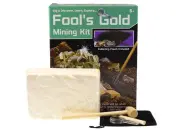 Dig Discover Fools Gold