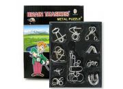 Metal IQ Puzzles Set Of 10