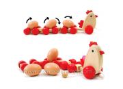 Pull Along Wooden Chicken & Eggs