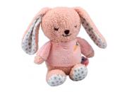 Snuggle Berry Bunny Jiggler