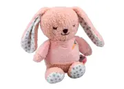 Snuggle Berry Bunny Jiggler