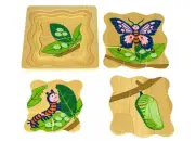 Wooden Life Cycle Puzzle Butterfly