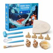 Ancient Shark Fossil Excavation Kit