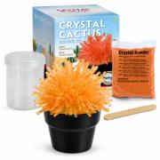 Crystal Cactus Mini Kit