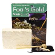 Dig Discover Fools Gold