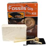 Dig Discover Fossils
