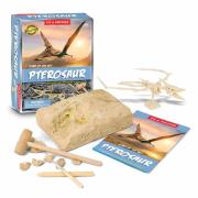 Dig Discover Pterosaur